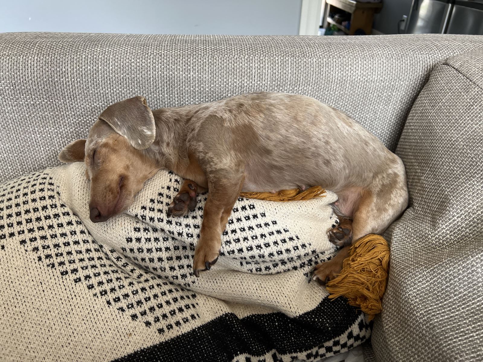Wally
