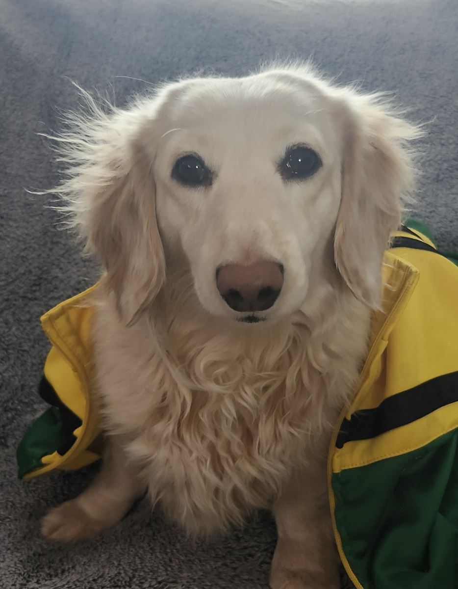 Wally