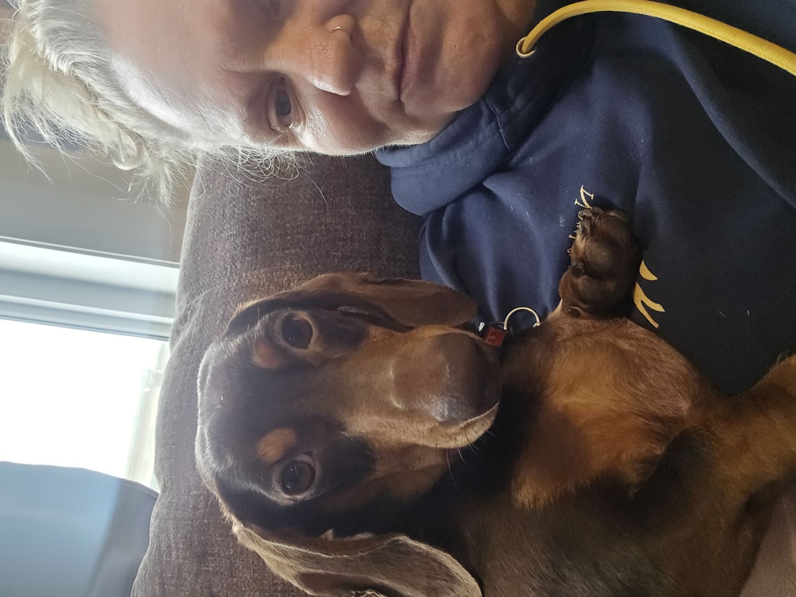 Wally