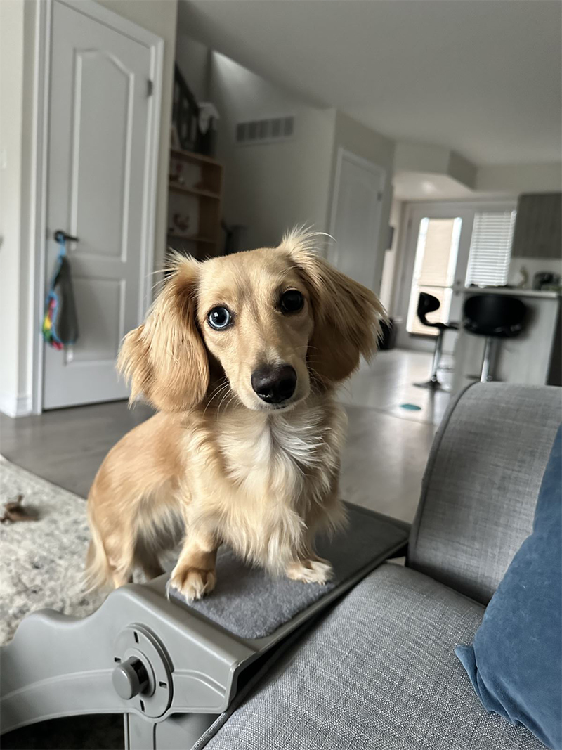 Wally