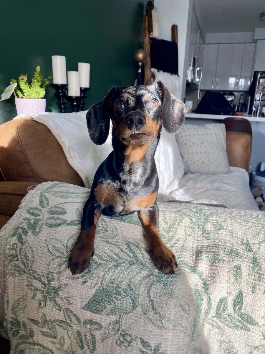 Wally