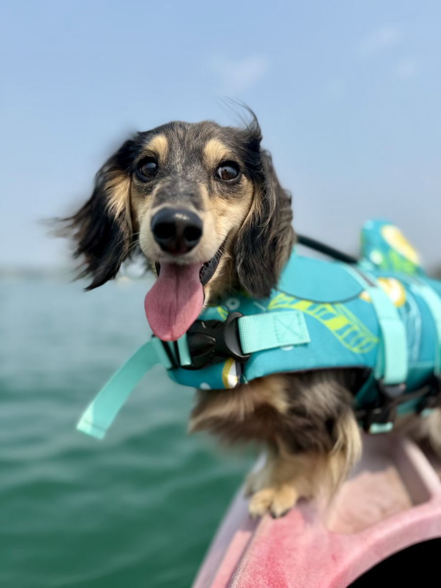 Wally