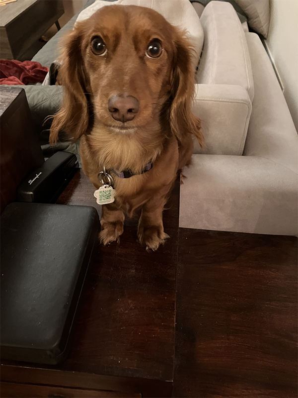 Wally