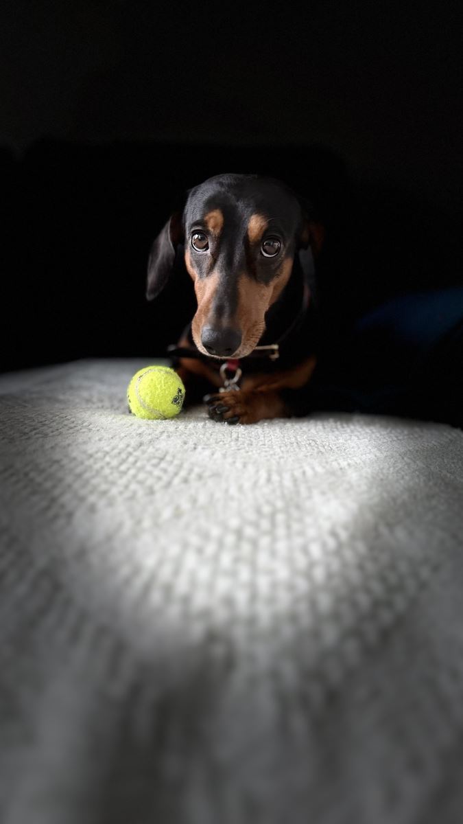 Wally