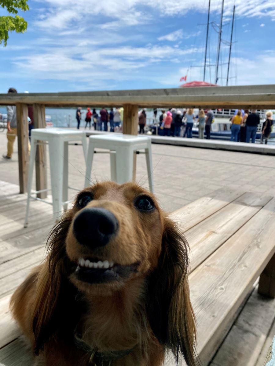 Wally