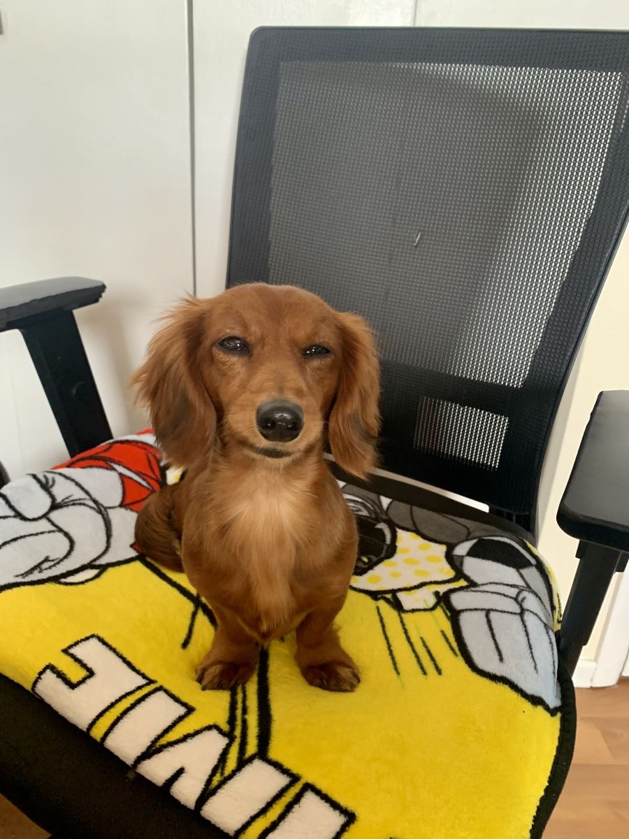 Wally