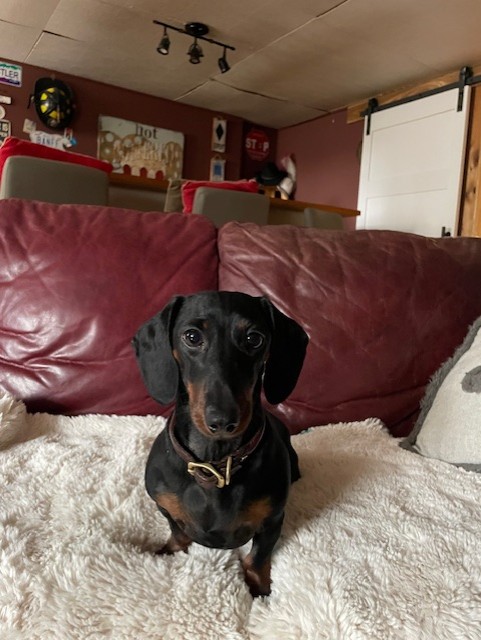 Wally