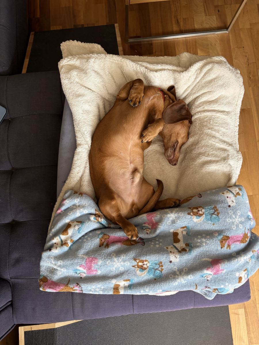 Wally