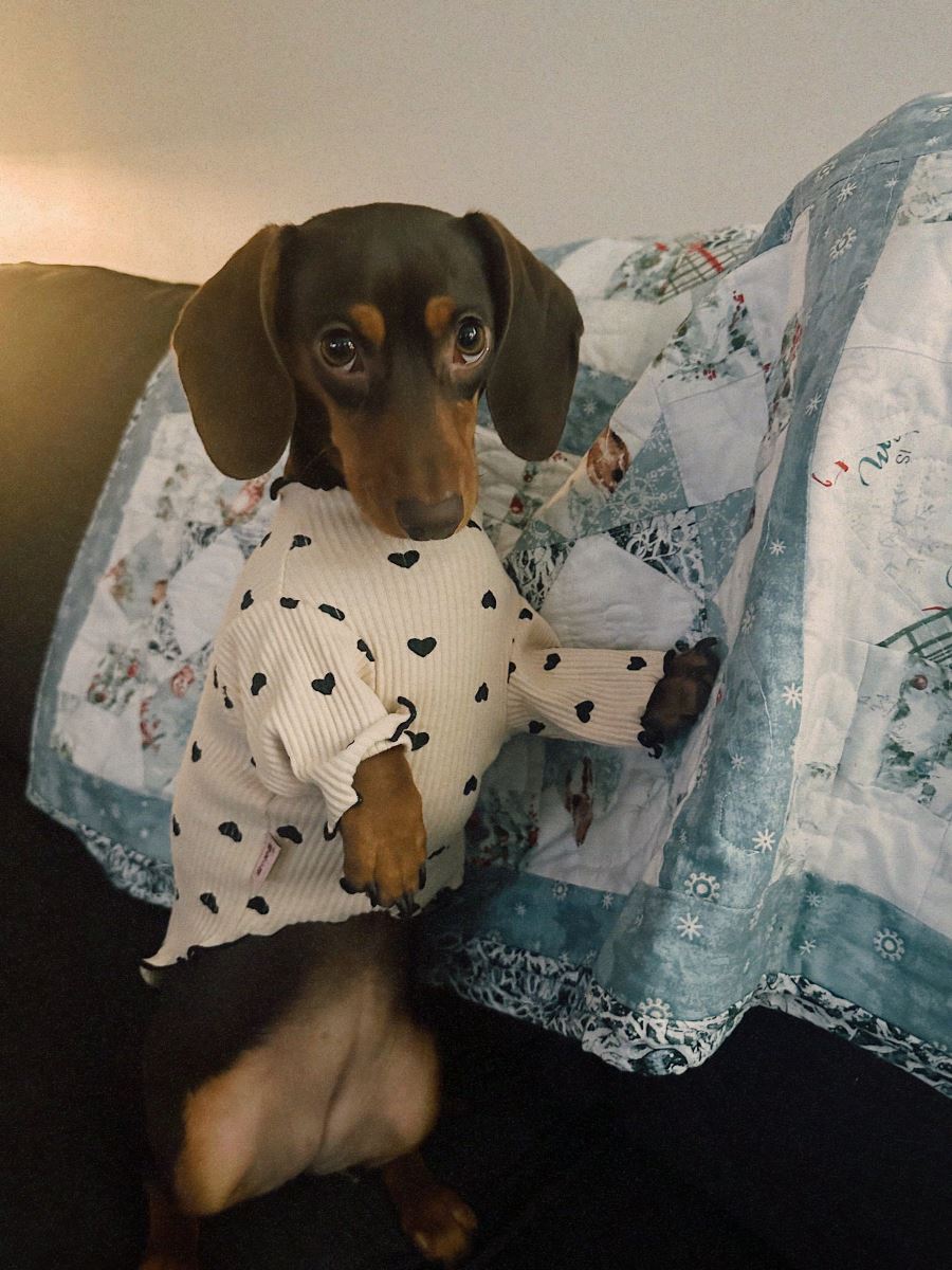 Wally