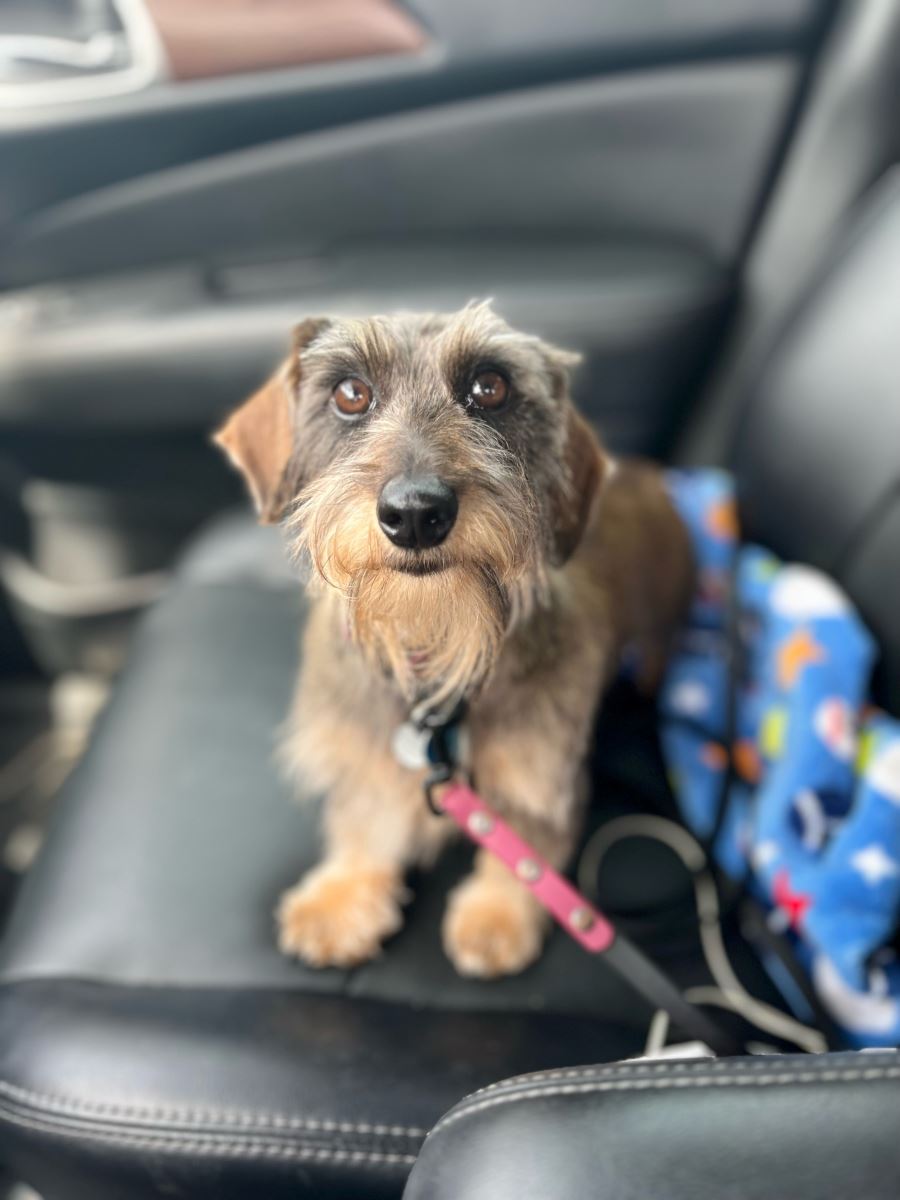 Wally