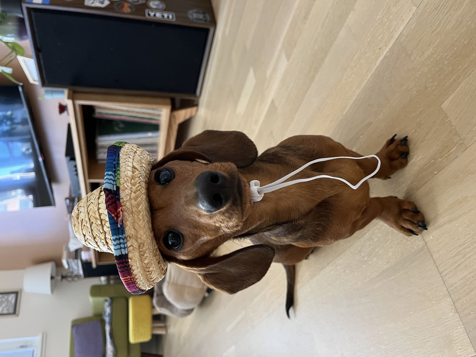 Wally