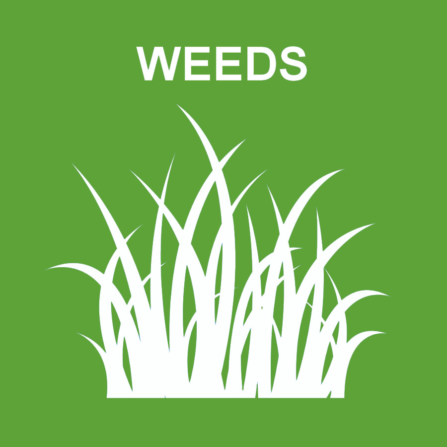 Weeds