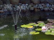 Picture of pond with fountain