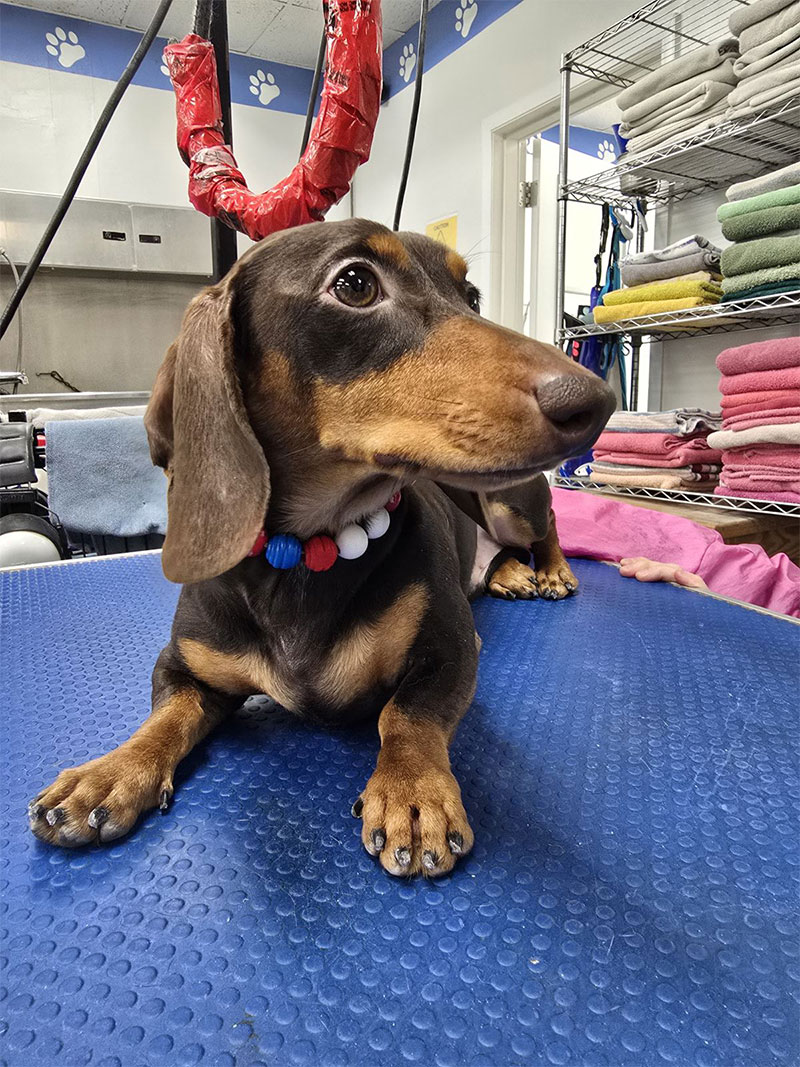Wally