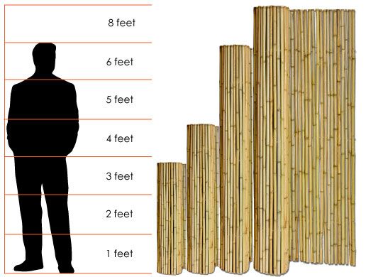 Choosing The Right Bamboo Fence Height | Bamboo fence, Wood fence ...