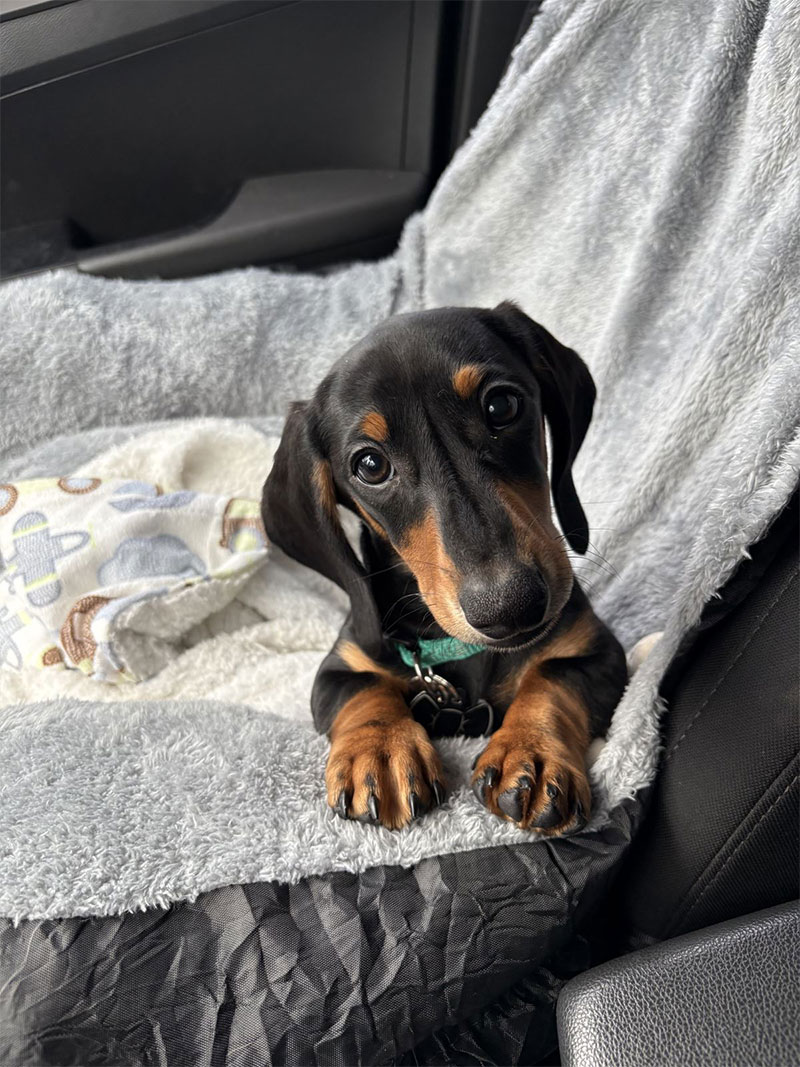 Wally