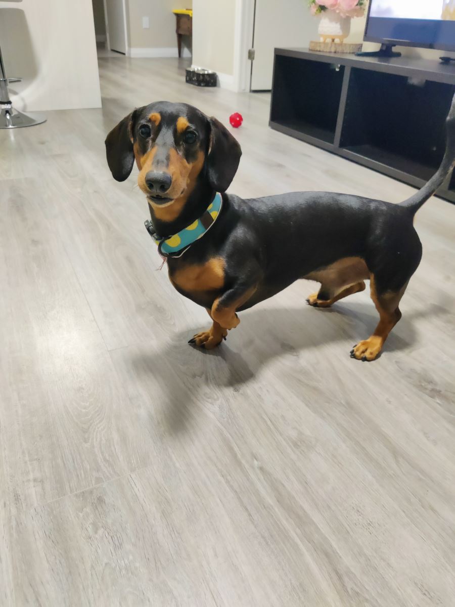Wally