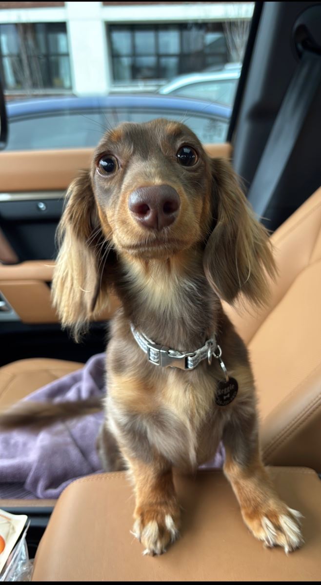 Wally